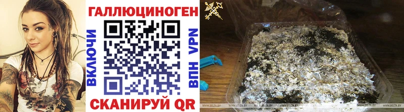Псилоцибиновые грибы мухоморы  Дубовка 